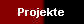 Projekte